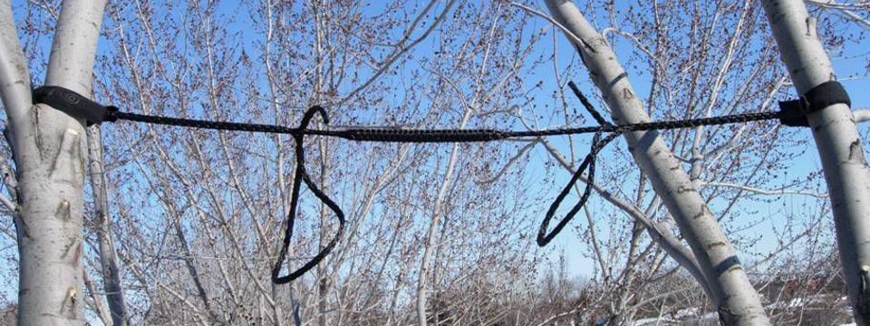 Câble de haubanage entre deux troncs — Arbre Boivin