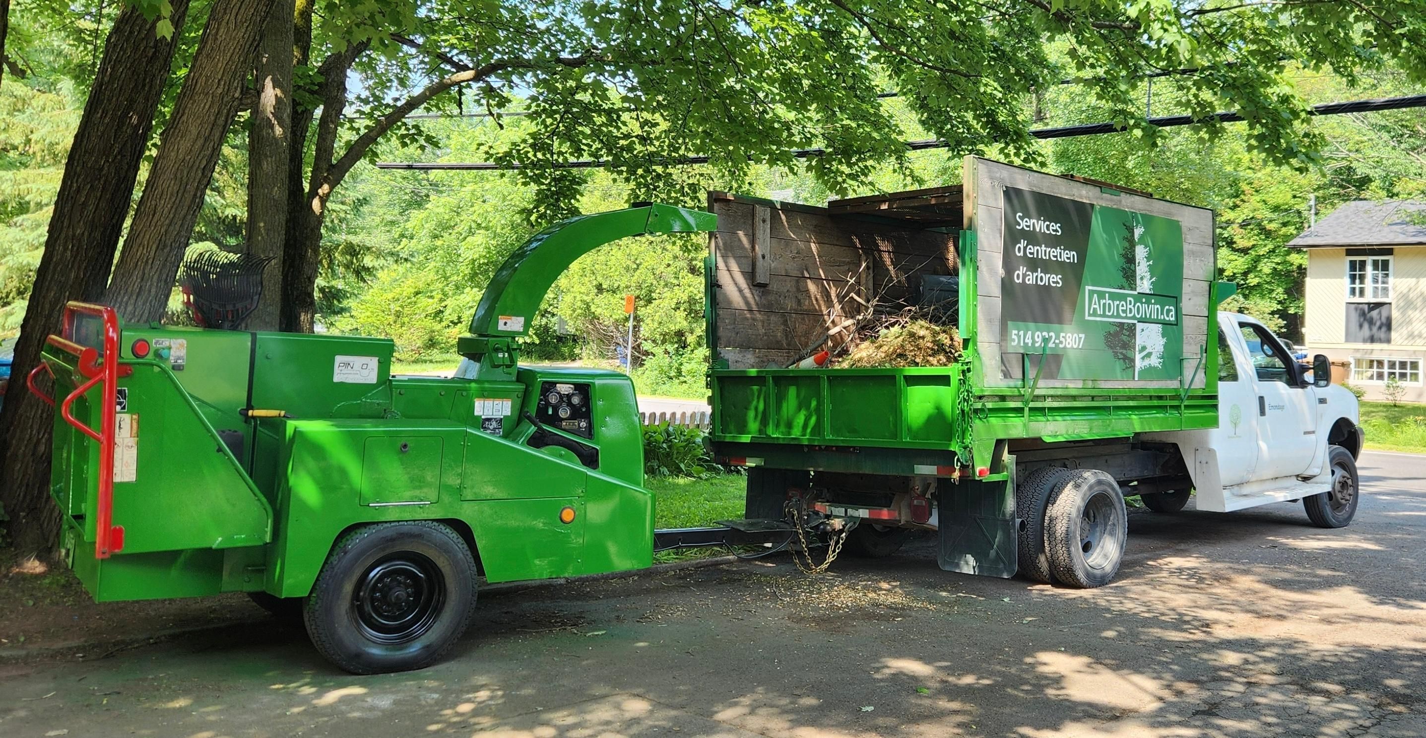 Équipe Arbre Boivin au travail