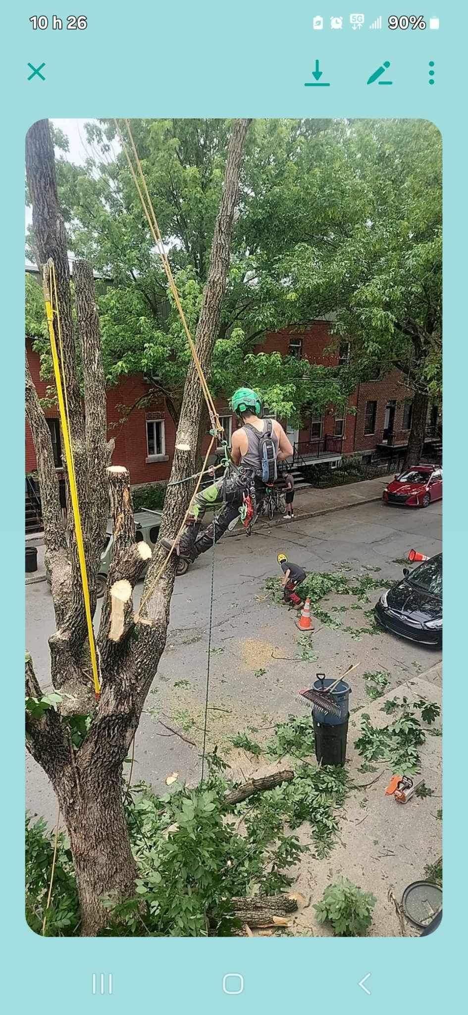 Équipe Arbre Boivin effectuant des travaux en milieu urbain