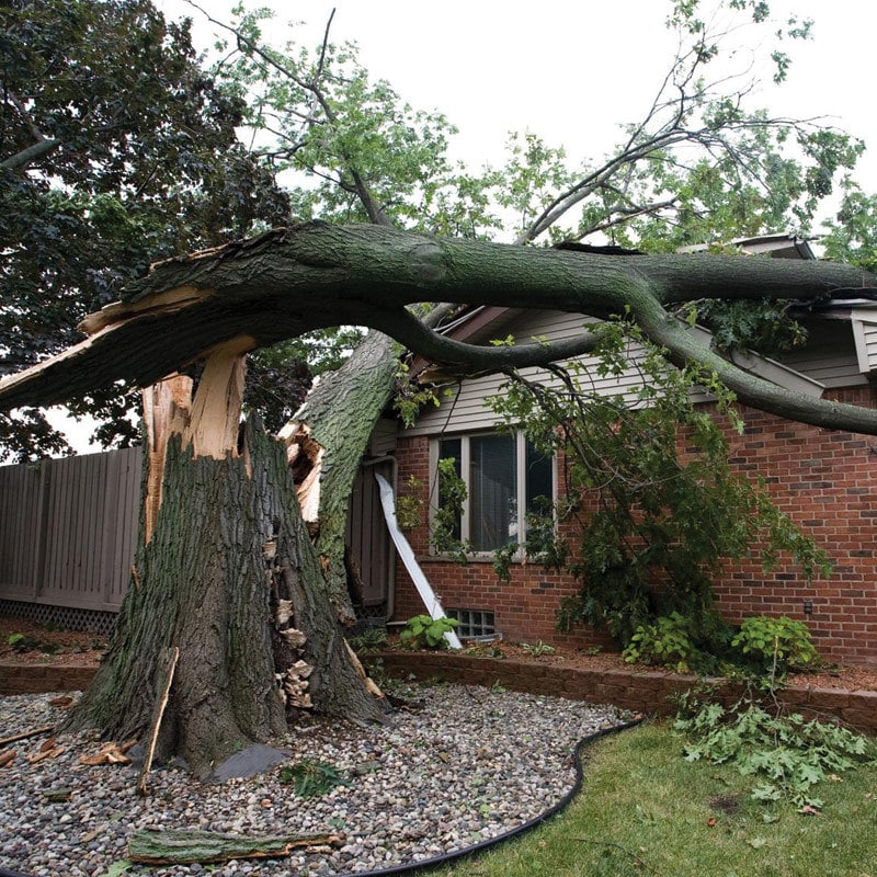 Arbre tombé sur une maison — intervention urgence Arbre Boivin
